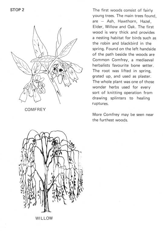 Howardian Local Nature Reserve
Nature Trail Booklet 1973