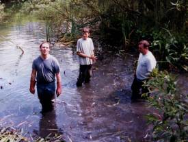 Howardian Local Nature Reserve
Clearing invading Reedmace from the pond