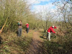 Howardian Local Nature Reserve
 Cutting back vegetation