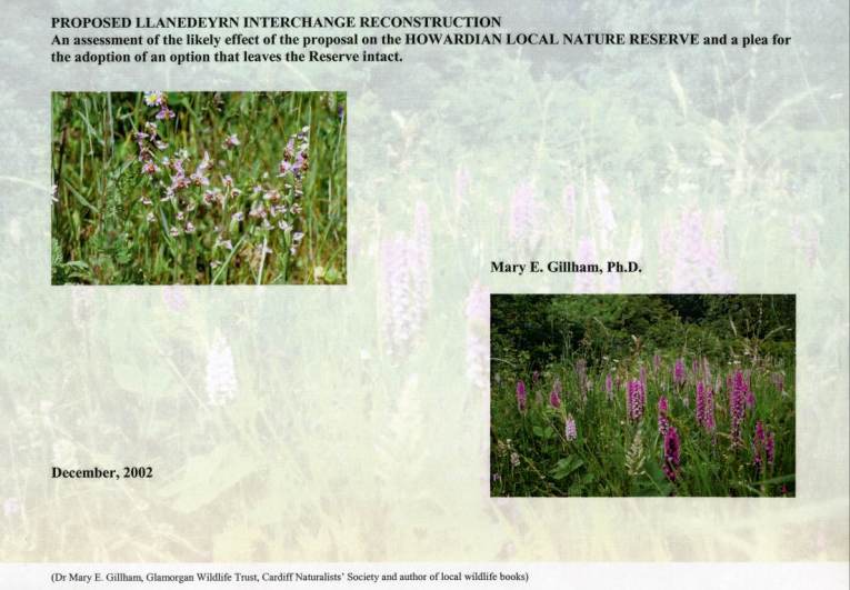 HowardianLNR
Llanederyn Interchange Proposal
Effects on Reserve
Appendix 2