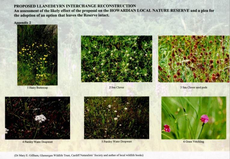 HowardianLNR
Llanederyn Interchange Proposal
Effects on Reserve
Appendix 2