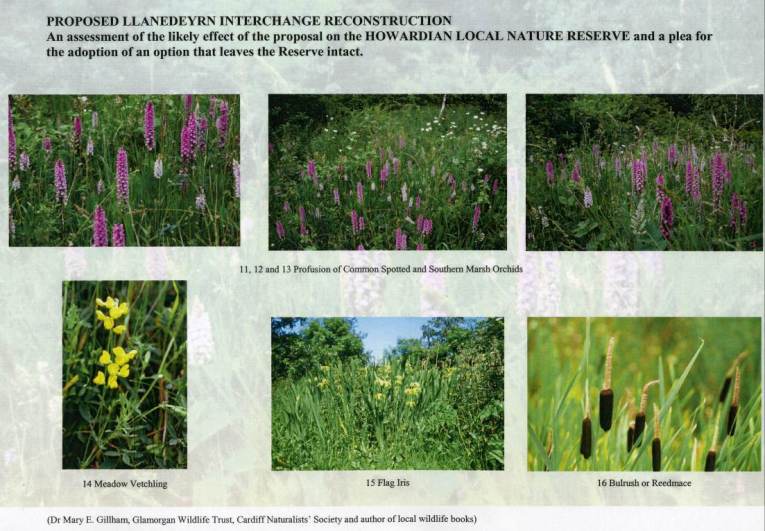 HowardianLNR
Llanederyn Interchange Proposal
Effects on Reserve
Appendix 2