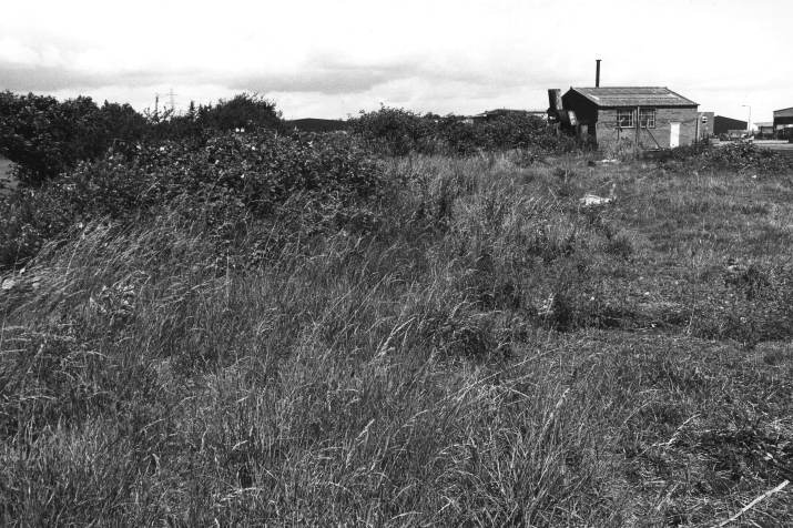 Howardian Local Nature Reserve
Old shack