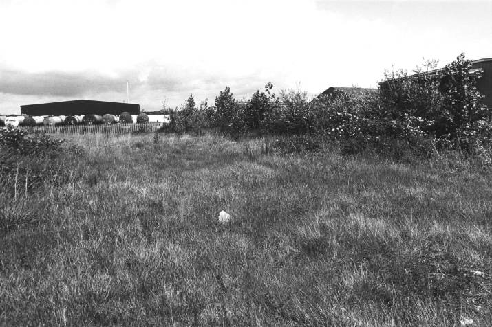 Howardian Local Nature Reserve
East across Vetch Meadow to tanker depot