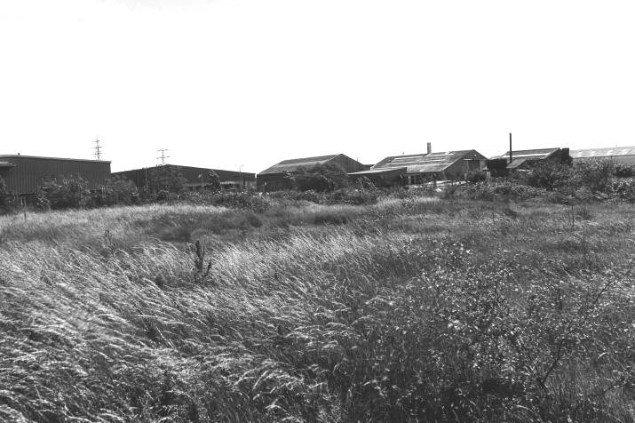 Howardian Local Nature Reserve
South towards Ipswich Road industrial estate