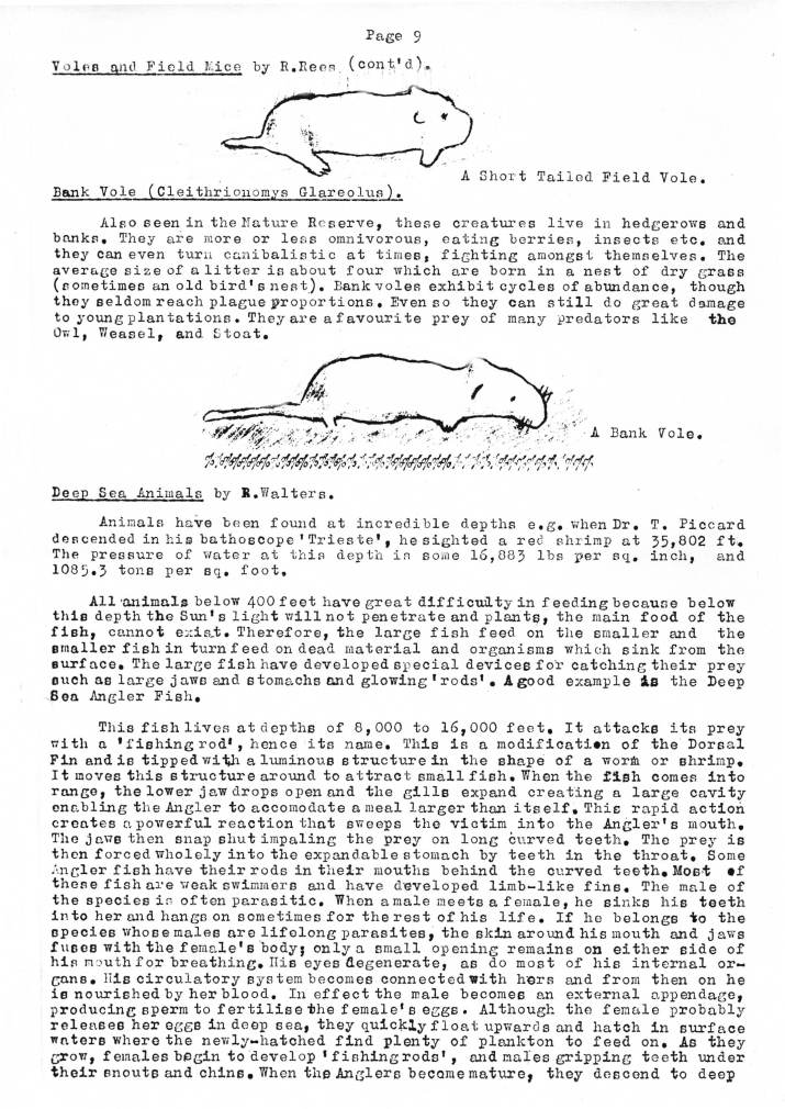 Natural History Gazette
No. 8 December 1973