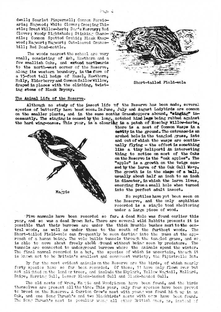 An Introduction to the School Nature Reserve
September 1973