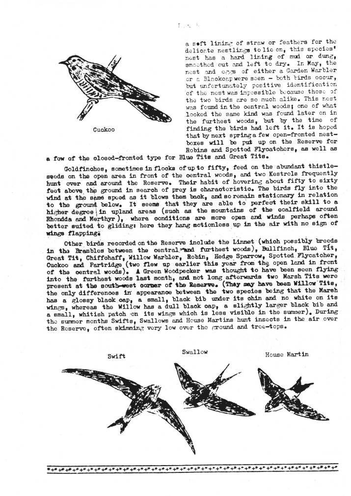 An Introduction to the School Nature Reserve
September 1973