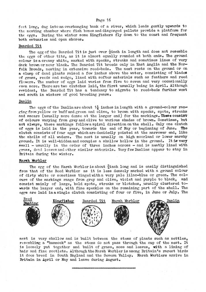 Natural History Gazette
No. 10 July 1974