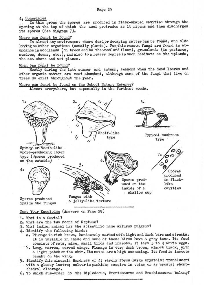 Natural History Gazette
No. 10 July 1974