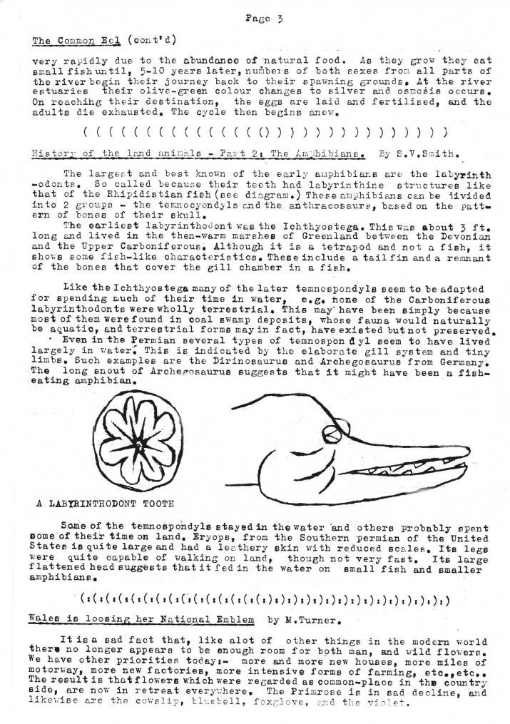 Natural History Gazette
No. 9 March 1974