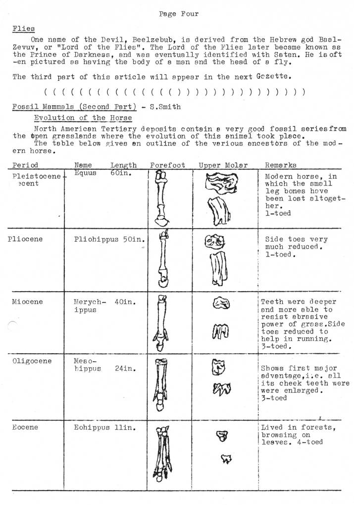 Natural History Gazette
No. 19 December 1975