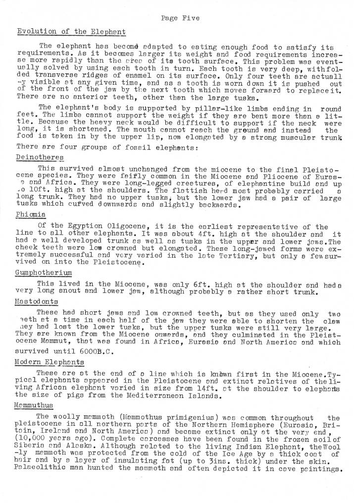 Natural History Gazette
No. 19 December 1975