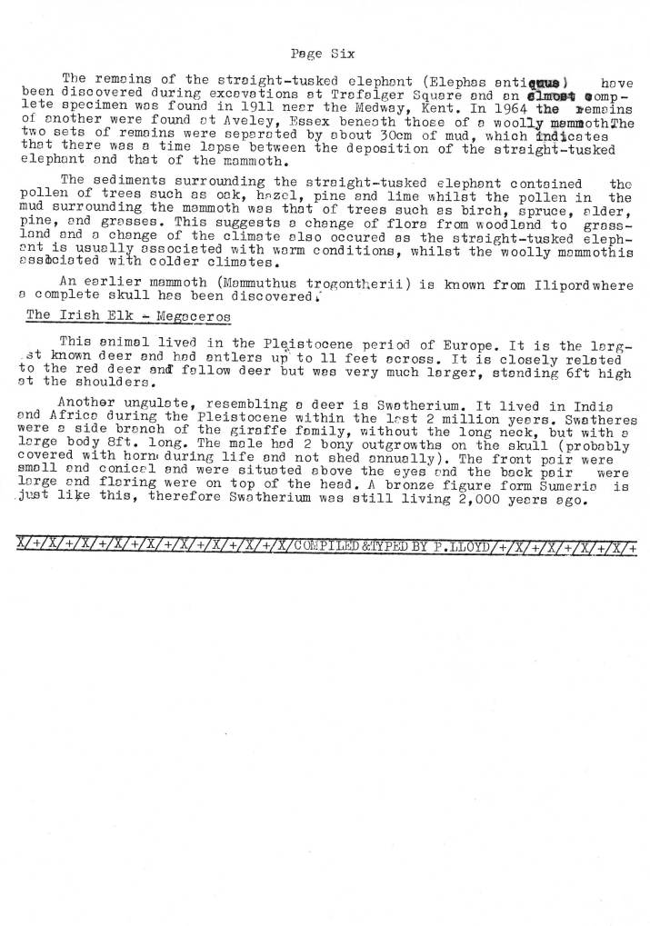 Natural History Gazette
No. 19 December 1975