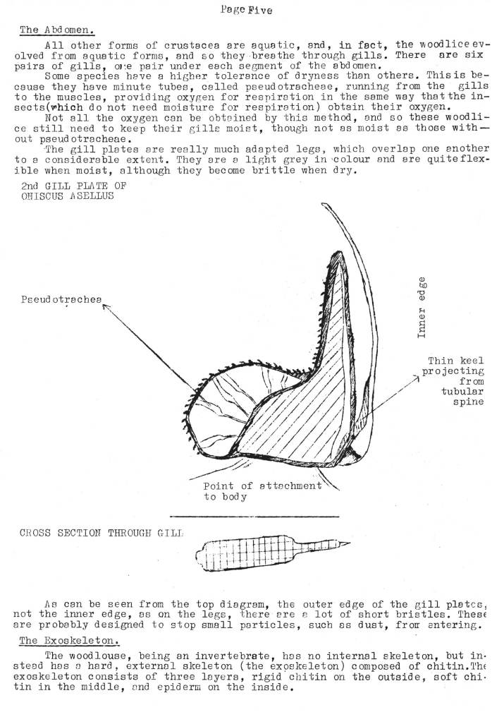 Natural History Gazette
No. 15 April 1975