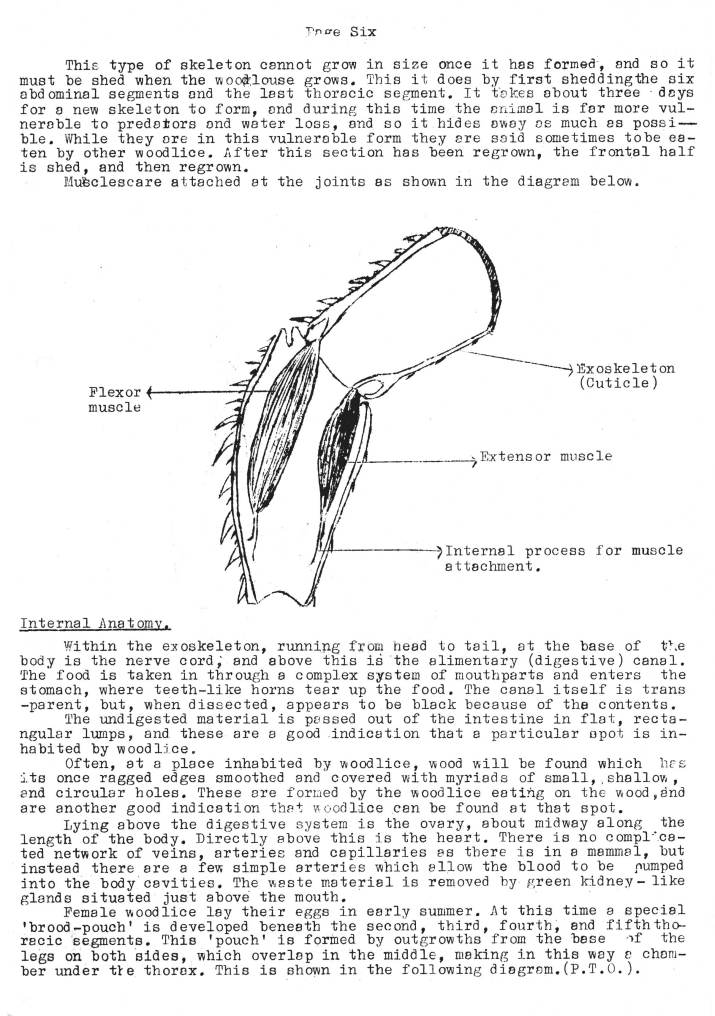 Natural History Gazette
No. 15 April 1975