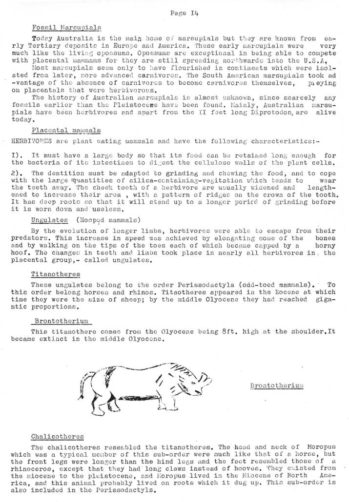 Natural History Gazette
No. 17 July 1975