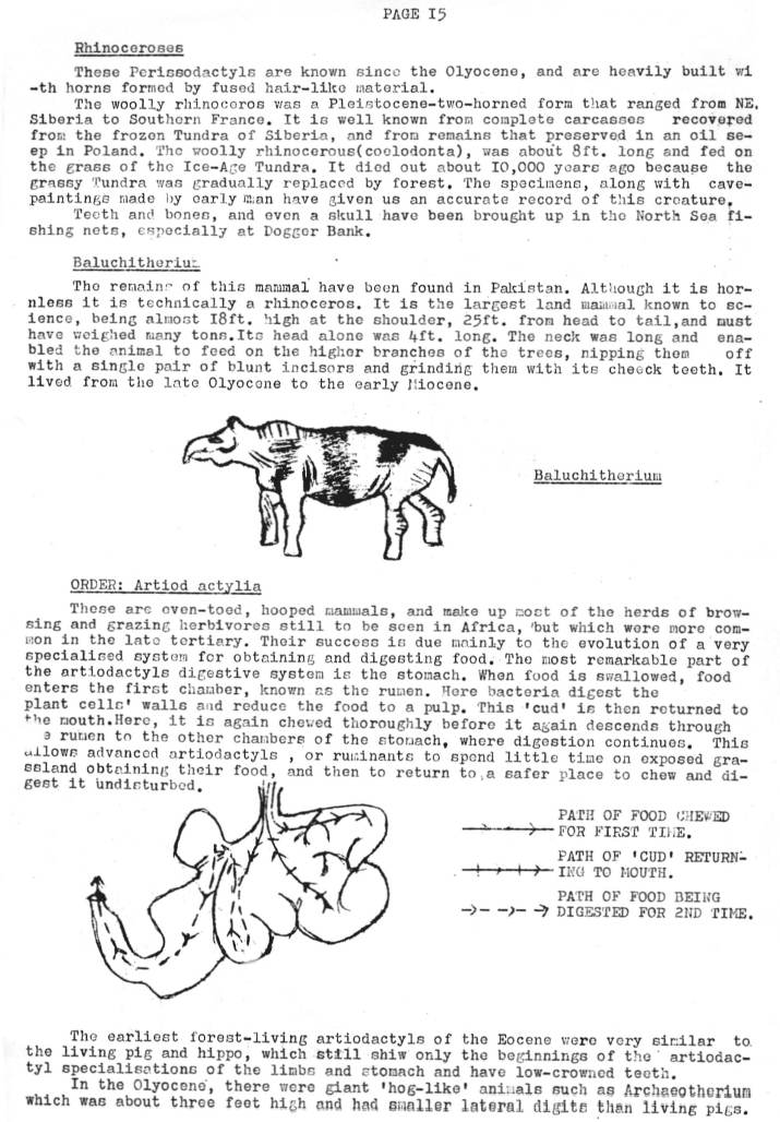 Natural History Gazette
No. 17 July 1975