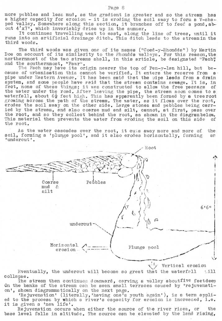 Natural History Gazette
No. 17 July 1975