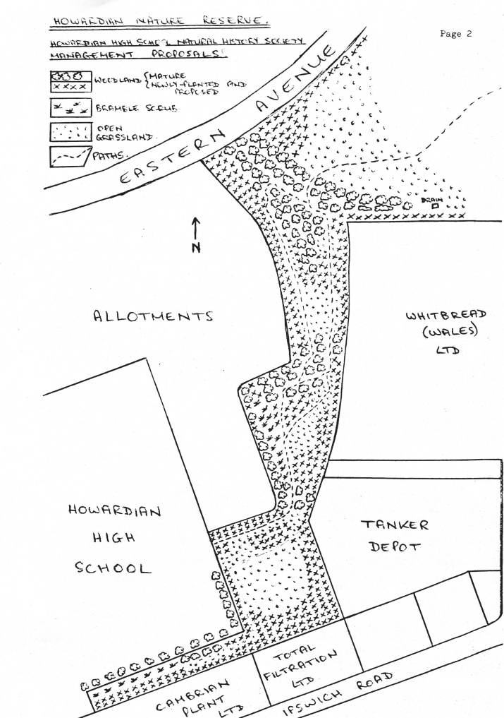 An Introduction to Howardian Nature Reserve (Coed-yr-Ysgol)