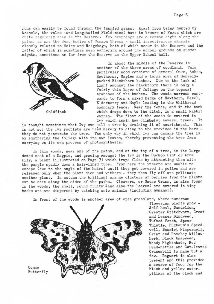 An Introduction to Howardian Nature Reserve (Coed-yr-Ysgol)