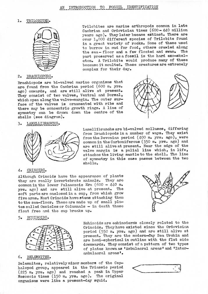 An Introduction to Fossil Identification