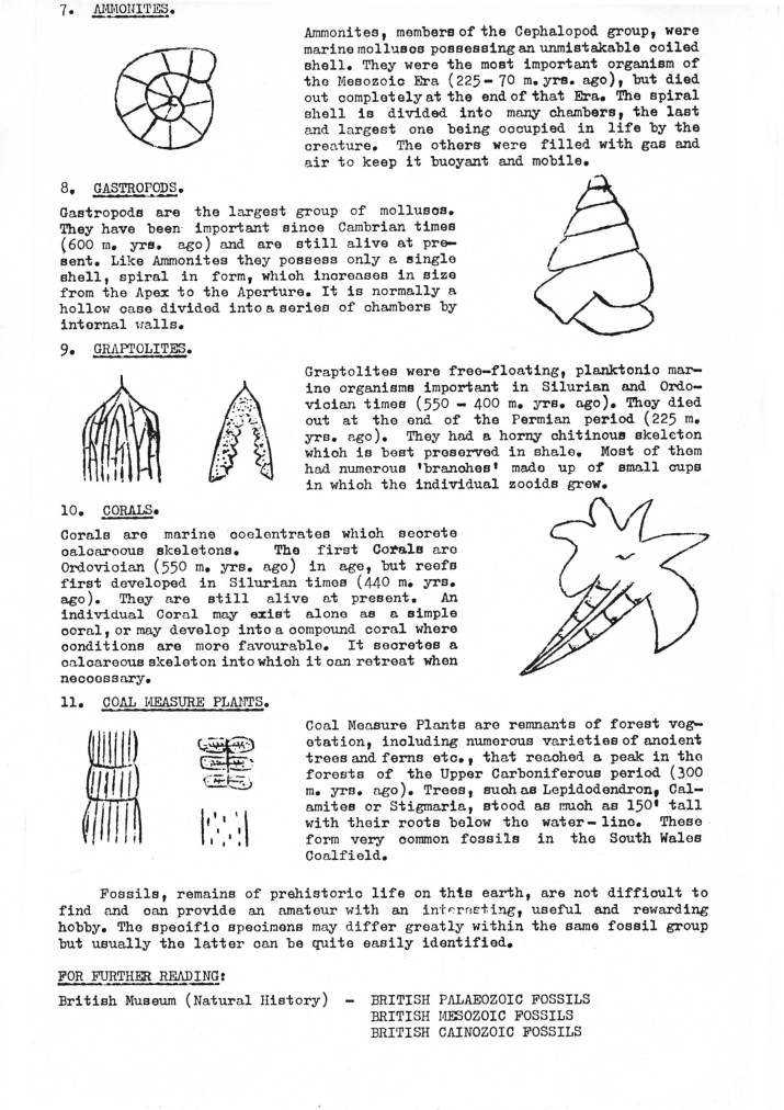 An Introduction to Fossil Identification