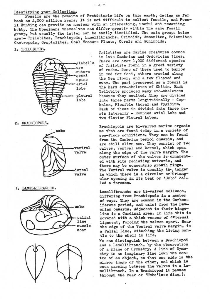 Identifying Geological Specimens
Part 1 - Fossils