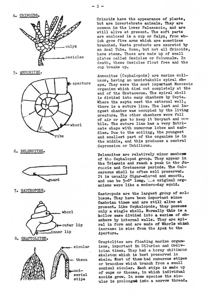 Identifying Geological Specimens
Part 1 - Fossils