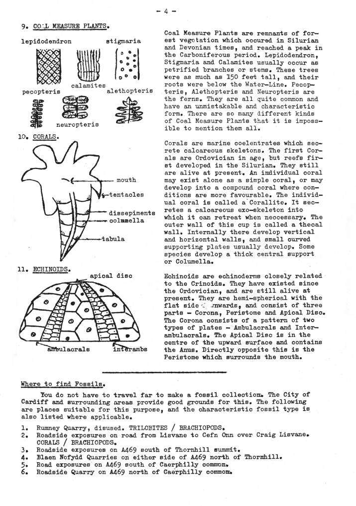 Identifying Geological Specimens
Part 1 - Fossils