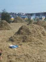 Howardian Local Nature Reserve 
Hay Rake 1988