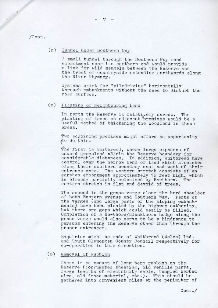 Management Plan 18/04/89 page 7