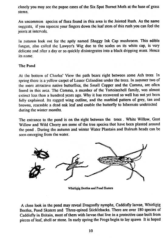 Howardian Local Nature Reserve
  Nature Trail Booklet 1996 (English)
  The Pond