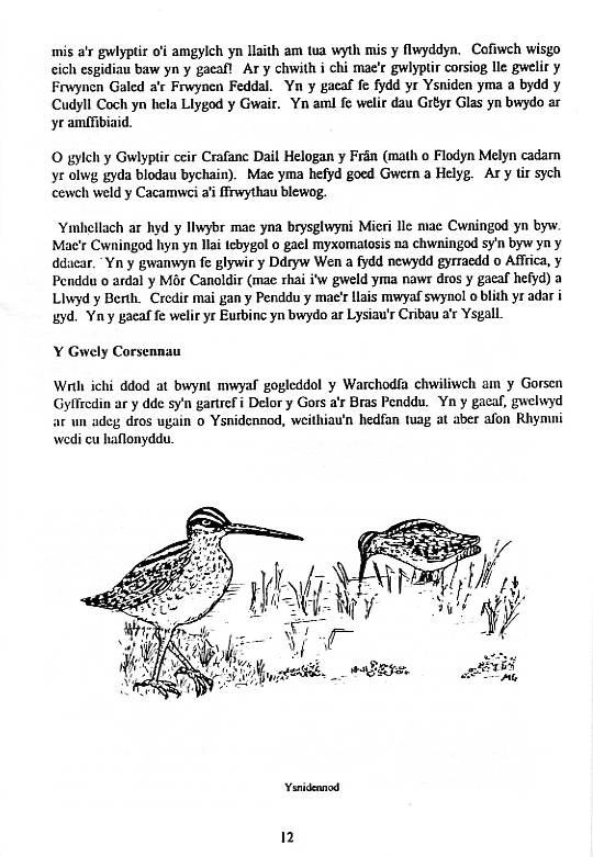Howardian Local Nature Reserve
Nature Trail Booklet 1996 (Welsh)
The Reedbed