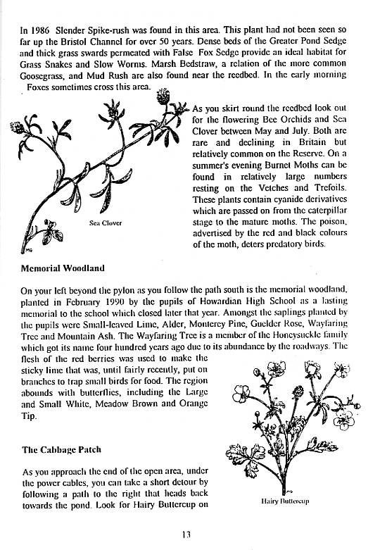 Howardian Local Nature Reserve
  Nature Trail Booklet 1996 (English)
  Memorial Woodland & The Cabbage Patch