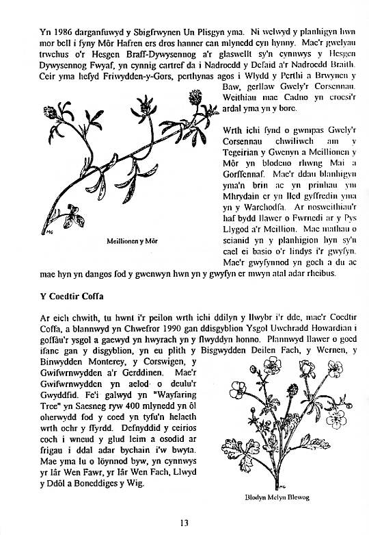 Howardian Local Nature Reserve
Nature Trail Booklet 1996 (Welsh)
Memorial Woodland & The Cabbage Patch