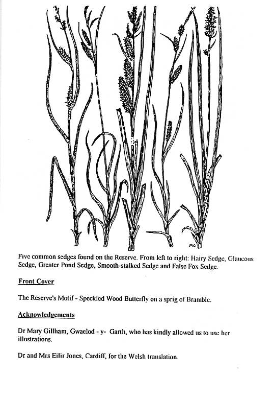 Howardian Local Nature Reserve
  Nature Trail Booklet 1996 (English)
  Sedges & Acknowledgements