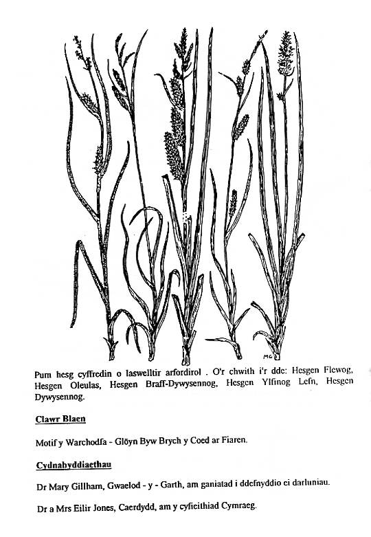 Howardian Local Nature Reserve
Nature Trail Booklet 1996 (Welsh)
Sedges & Acknowledgements