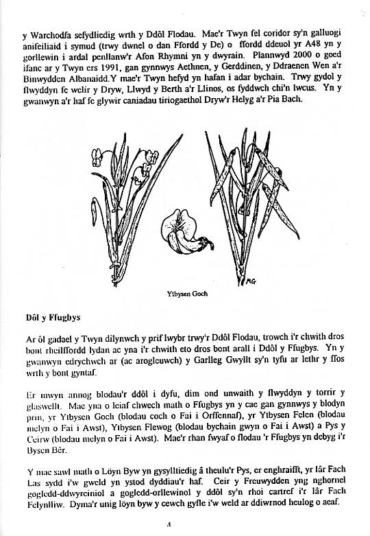 Howardian Local Nature Reserve
Nature Trail Booklet 1996 (Welsh)
The Vetch Meadow