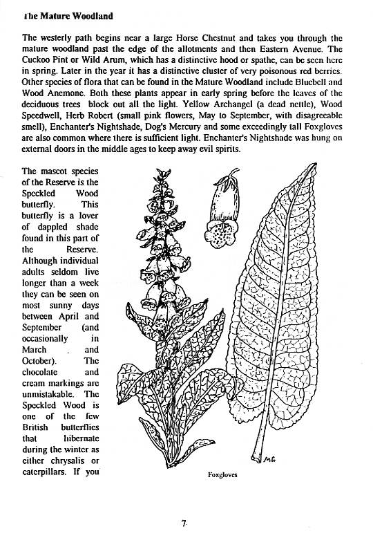 Howardian Local Nature Reserve
  Nature Trail Booklet 1996 (English)
  The Mature Woodland