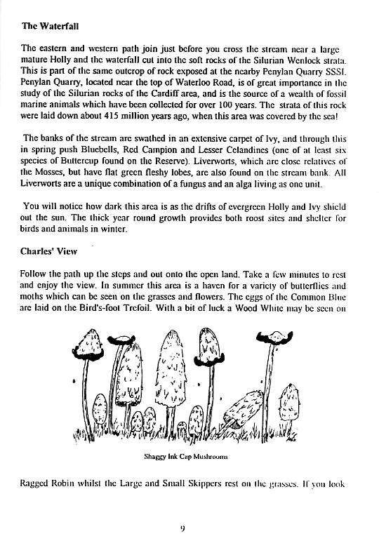 Howardian Local Nature Reserve
  Nature Trail Booklet 1996 (English)
  The Waterfall & Charle's View