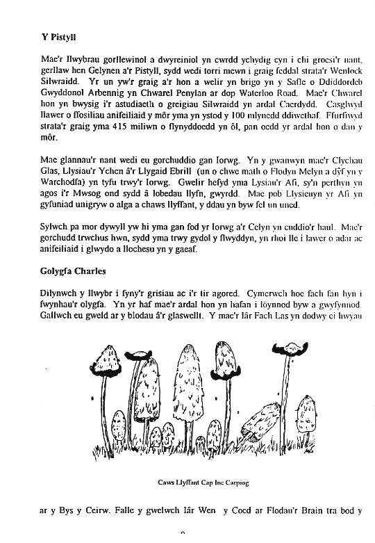 Howardian Local Nature Reserve
Nature Trail Booklet 1996 (Welsh)
The Waterfall & Charle's View