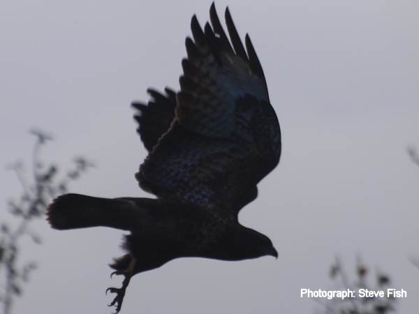 Howardian Local Nature Reserve