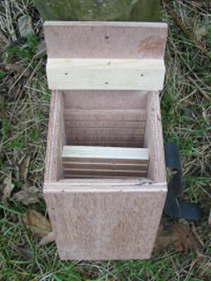 Howardian Local Nature Reserve 
  Bat Box inside