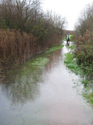 Howardian Local Nature Reserve 
    Digging out the channel