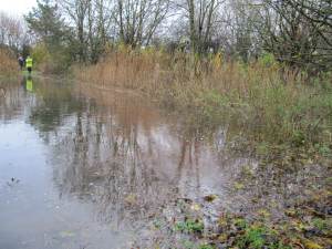 Howardian Local Nature Reserve&#010 Digging out the channel