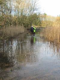 Howardian Local Nature Reserve 
    Digging out the channel