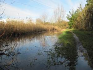 Howardian Local Nature Reserve 
    Digging out the channel