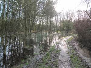 Howardian Local Nature Reserve&#010 Digging out the channel