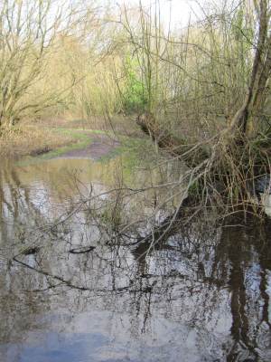 Howardian Local Nature Reserve 
    Digging out the channel